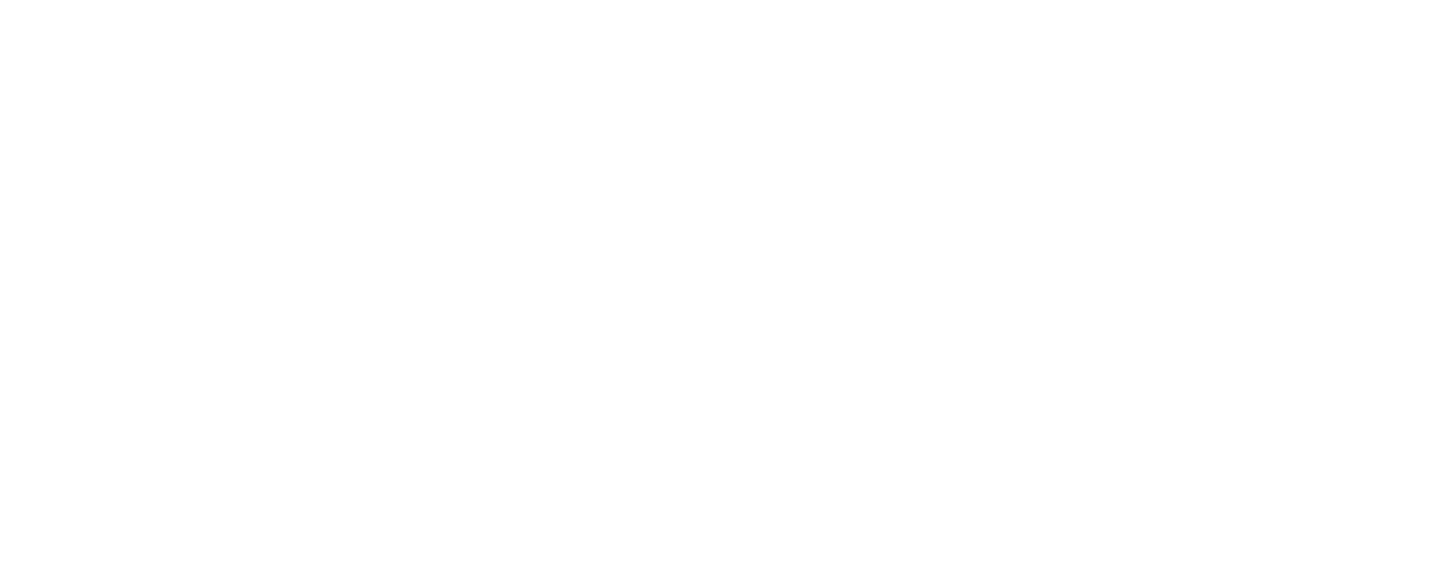 Smart Check Logo